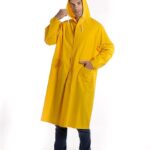 51nnFJWWJkL. AC SX679